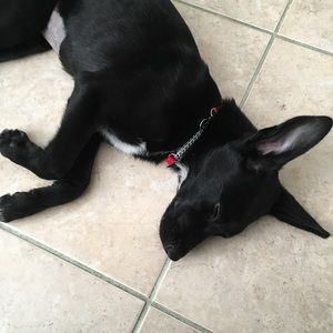 Meet your Posher, Jordan